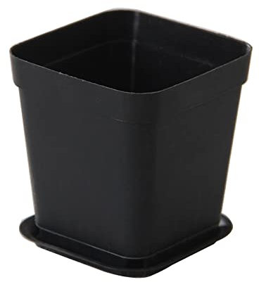 LUJIYY Plante succulente carrée en plastique respirant à fentes pour plantes grasses d'intérieur - 5 x 8 x 7 cm - Petits pots pour plantes grasses - Blanc avec drainage - Noir
