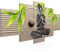 Runa Art - Bilder Buddha Feng Shui 200 x 100 cm 5 Teilig XXL Wanddekoration Design Beige Grün 505551a