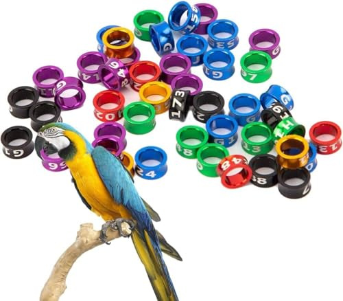 Anello aperto per uccelli, anello per la gamba di uccello, anello diviso in alluminio, etichetta per identificare piccioni, anello di allenamento in colori misti