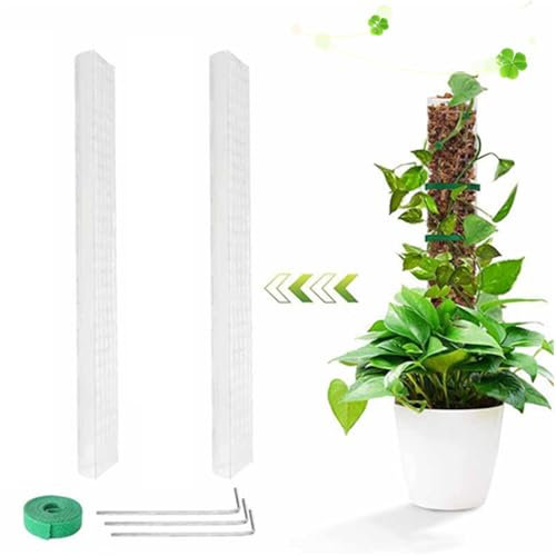 Bastone di Muschio,Granmagazz Palo Antimuschio In Plastica, 2 Pezzi Muschio Plastica Tutori Piante, 24 Pollici Moss Pole Palo con1 Cinturino, 3 Chiodi, Palo Di Muschio per Piante In Vaso per Interni