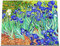 Wowdecor Malen nach Zahlen, Kits für Erwachsene und Kinder, Gemälde zum Selbstmalen mit Zahlen – Motiv: Van Gogh, Iris, Blumen, 40 x 50 cm, neu geprägte Leinwand, Frameless