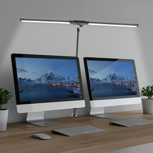 LED Desk Lamp with Clamp Omnidirectional Adjustable Desk Light with Memory Function Super Wide & Bright 3 Color Modes X 10 Brightness Levels ,Eye-Caring Lamp for Working,Reading,Studying(Double Head)