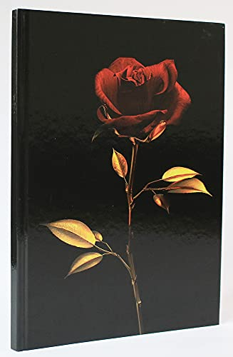 5x ADINA Kladde Notizbuch A4 dotted (punktkariert) 96 Blatt mit festem Deckel starkes Papier 80g/qm (Elegante Rose)