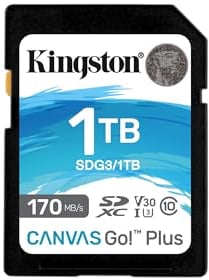 Kingston Canvas Go! Plus SD Karten 1TB SDXC 170R C10 UHS-I U3 V30