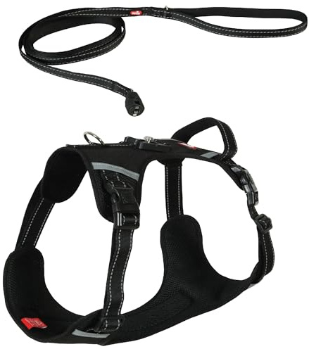 Zolux Hundegeschirr mit Leine Clip and Go, Magnetsystem, XL, Schwarz, atmungsaktiver Stoff, Halsumfang 66-86 cm, Brustumfang 76-101 cm, 471 g