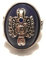 giulyscreations Ring Metall Nickel Free Damon Salvatore The Vampire Diaries Solarring TV-Serie Tagebücher Vampir Wappen TVD Fantasy Cosplay (5), Metall