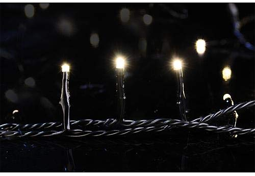 EGB LED-Mini-Lichterkette APP-Funktion 40 FLG. ww/bu. LED