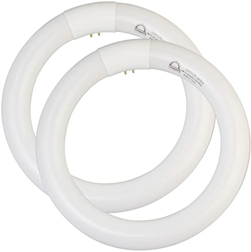8 inch FC8T9/CW 22W Cool White Circular Fluorescent Light Bulb, Round T9 22 Watt Circline Fluorescent Lamp Bulbs 4100K 1350 Lumens, G10q 4 Pin Base, 2 Pack