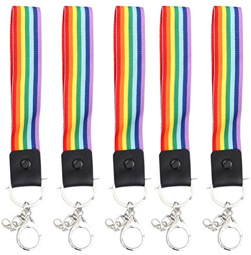 PRETYZOOM Regenbogen Schlüsselbund Seil Charm Schlüsselring Geldbörse Gurte Handgelenk Lanyard Zubehör für Tasche Geldbörse Handtasche Autos