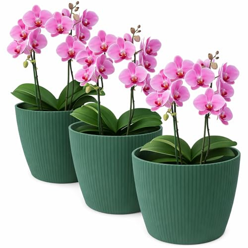 TULMERO Blumentopf matt, Pflanzkübel aus Übertopf Kunststoff Dekorativer Topf für, groß Pflanzen 3X blumenkübel Set, blumenkübel kräutertopf, (3 Pack) Avocado, ø 16 cm