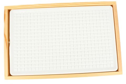 HOLIDYOYO Bandeja De Sushi y Mariscos Rectangular Grande Bandeja Fría Para Conservar Frescura Adecuado Para Restaurantes y Cenas Familiares