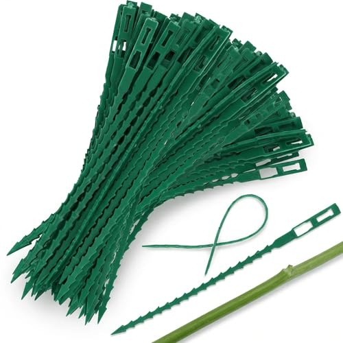 Aeutabs 100 Stück Verstellbarer Pflanzenbinder, Pflanzkübel Pflanzenbinder Grün, 23cm Pflanzen Anbinder Gartenbinder für Gartenpflanzen Wachstum Pflege