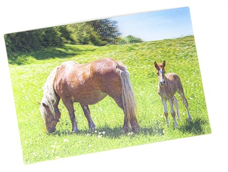 3 D Ansichtskarte Haflinger, Postkarte Wackelkarte Hologrammkarte Tier Pferde