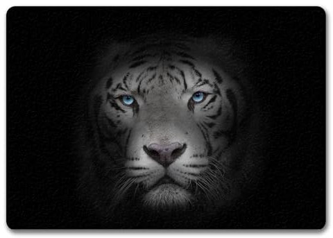 trendaffe - Weißer Tiger Fußmatte randlos mit Motiv