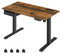 VASAGLE Height Adjustable Electric Standing Desk, 60 x 120 cm Desktop, Continuous Adjustment, Memory Function with 4 Heights, Rustic Brown and Black LSD112X11