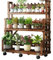 3 Etagen Stufen-pflanzenregal Höhenverstellbar Blumentopf-Organizer Mit Riemenscheibe Blumenregal Display Rack für Wohnzimmer Outdoor-Balkon Garten Terrasse (Size:80cm)