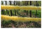 Egurs 200cm Federboa Federstola Feder-Girlande Feder Schal 20g Dick Feder Boa Feder Flauschige Girlande Hochzeit Party Karneval Halloween Weihnachten Kostüm Dekoration Zubehör golden