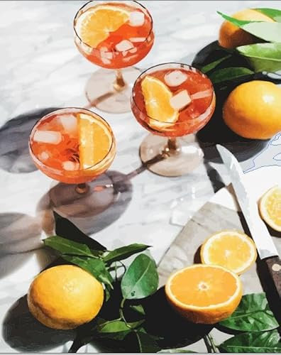 SWZEC DIY Malen nach Zahlen - Orange Summerdrinks (40x50CM,ohne Rahmen)