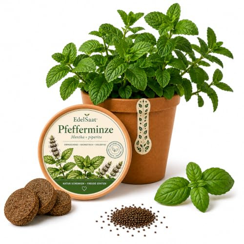 EdelSaat® Pfefferminze Anzuchtset – Mentha × piperita Geschenkset mit Samen, Kokos Quelltabs & Pflanzanleitung – Frische Minze selbst anbauen für Küche, Tee, Balkon & Garten für Kräuterliebhaber