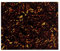 FLEOR 20X17cm Akustische Schlagbrettrohlinge Materialblatt Selbstklebende Backing Scratch Plate für Akustikgitarrenschnitt Pick Guard Größe, Brown Tortoise Shell