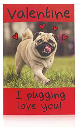 Valentinstagskarte – ideales Valentinstagsgeschenk, Geschenk für Sie, Geschenk für Ihn – Mops