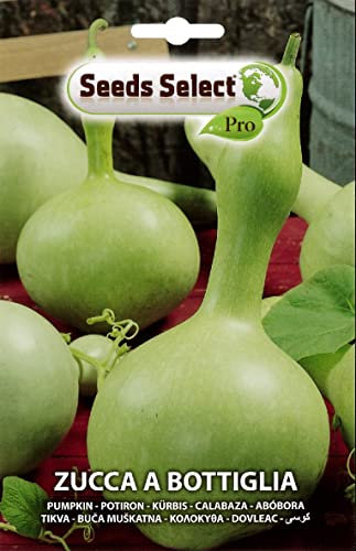 ZUCCA BOTTIGLIA SEMI IN BUSTINA