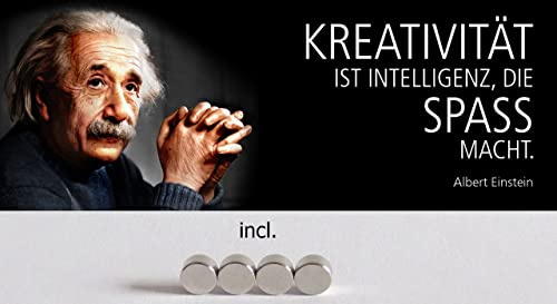 Metall Schild 27x10cm mit 4 Magneten Einstein Kreativität ist Intelligenz