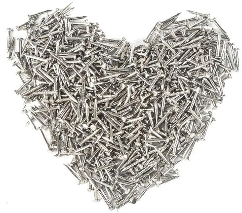 HVDHYY 500PCS Silberne Runde Kopf-kleine Hölzerne Nägel Kleine Nägel Eisennagel DIY Dekorative Kasten-Zusätze 1.5 * 20mm