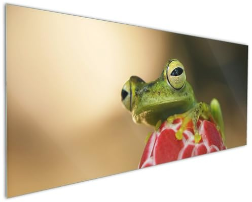 Wallario Küchenrückwand aus Glas 125 x 50 cm, Motiv: Frosch sitzt auf Einer Knospe | Spritzschutz abwischbar & pflegeleicht
