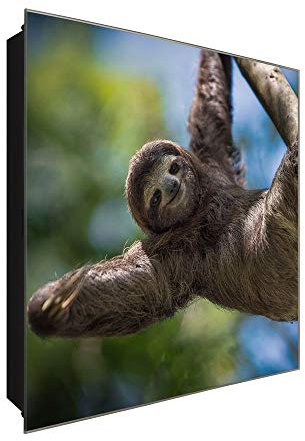 DekoGlas Schlüsselkasten Aus Glas Schlüsselbox Schlüsselschrank 30 x 30 cm Abschließbarer Kasten Motivschlüsselbox Kratzfest Schlagfest 50 Haken Schreibtafel Beschreibbar Hängendes Faultier