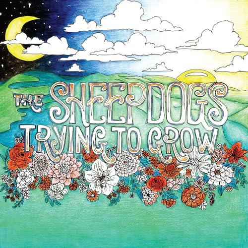 Sheepdogs Recording Company (Spv)