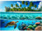 Sutinban 1000 Teile Puzzle für Erwachsene Unterwasser-Paradies mit Schildkröten 50x70cm Entspannend & Herausfordernd Puzzle 1000 Teile