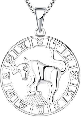 YL Silber Stier Halskette-925 Sterling Silber Horoskop Sternzeichen 12 Konstellation Anhänger Halskette für Damen