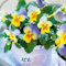 Helza Stiefmütterchen Ice Babies® Blue with Yellow F1, Blau mit Gelb F1, Holländische Veilchen, 200 stück, Blumensamen für Garten und Balkon, Pflanzensamen, Saatgut von Kulturpflanzen