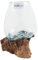 wohnfreuden Teak-Holz Deko Wurzel Glas Vase Gr. M 30 cm Teakwurzel Dekoration
