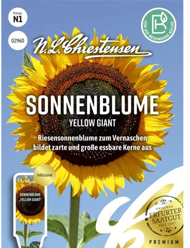Sonnenblume Yellow Giant, Riesensonnenblume zum Vernaschen, Samen