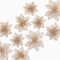 Naler 24-teilig Weihnachtsblumen Glitzer Blumen Weihnachten Deko Weihnachtsbaumschmuck Poinsettia für Weihnachtsbaum Adventskranz, Champagner