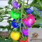 Rosepoem 100 stücke sehr selten importiert regenbogen tomatensamen bonsai obst & gemüse samen Non-gmo topfpflanzen für hausgarten