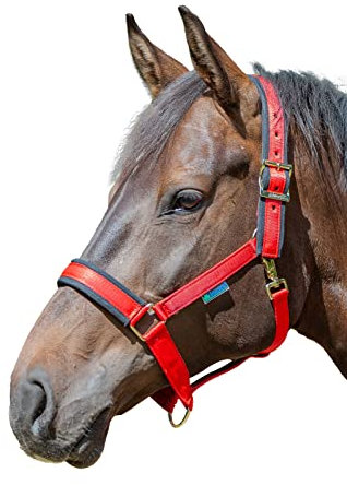 Bucas Comfort Halfter, XFull, red/Black