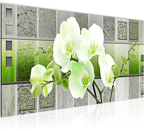 Runa Art Wandbild Blumen Orchidee 1 Teilig 100 x 40 cm Modern Bild auf Vlies Leinwand Abstrakt Wohnzimmer Grün Grau 204612b