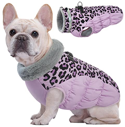 Kuoser Hundemantel Winter für kleine Hunde Wasserdicht & Winddicht, Warme Hundejacke mit Fleecefutter Reflektoren Reißverschluss, Pelzkragen & D-Ring – Outdoor Hundebekleidung, S