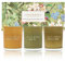COCORRÍNA Duftkerzen Geschenkset - 3 x 88g Kerze im Glas SojaWachs Kerze für Muttertag, Weihnachten, Geburtstag, Aromatherapie, Bad, Yoga BERGAMOT PATCHOULI，MOROCCAN AMBER，LEMON TEA