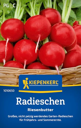 Kiepenkerl Radieschensamen Riesenbutter 1010650, Gemüsesaat | Nicht pelzig werdendes Garten Radieschen, für Beet, Hochbeet & Freiland