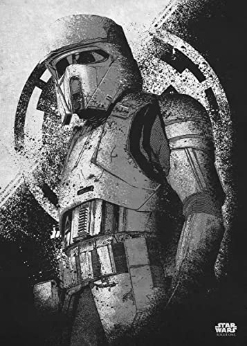 Displate Offiziell Star Wars MetallPoster Magnetische Befestigung Inklusive Lizenziert Bilder Hochwertiges Poster Rogue One Gray Morality - Scarif Shoretrooper Poster 45 cm x 32 cm