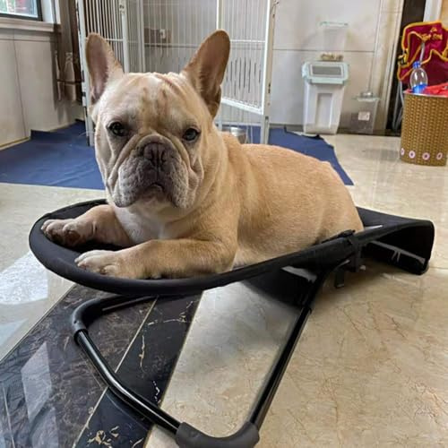 Sedia a Dondolo per Cani, Amaca Portatile per Animali Domestici, Cuccia per Cani di Piccola Taglia, Cuccia rialzata Portatile per Gatti, Sedia Amaca per Cani di Taglia Media e Piccola