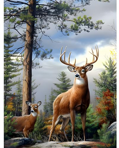 MOGTAA Hirsch Diamond Painting Erwachsene, 5D Tiere Diamant Painting Bilder Erwachsene, DIY Diamond Art Landschaft Diamant Malerei Bilder für Home Wand Dekor 30x40cm