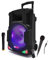 Enceinte Mobile 700W Sono Active KARAOKE DJ 12 Autonome Batterie LED RVB +2 Micros VHF +Fil USB/Bluetooth - LedWood Boostar1400
