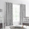 Catherine Lansfield Crushed Velvet 66x72 Inch Lined Eyelet Curtains Two Panels Silver Grey