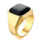 Flongo Herren Ring, Männer Bandring Siegelring Daumenring Gold Ton Hochzeit Verlobung Engagement Bequemlichkeit Passen Herren-Accessoires Größe 62