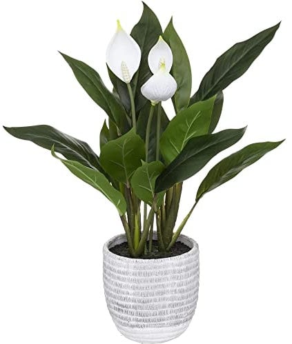 Atmosphera - Lys Artificiel H54 cm